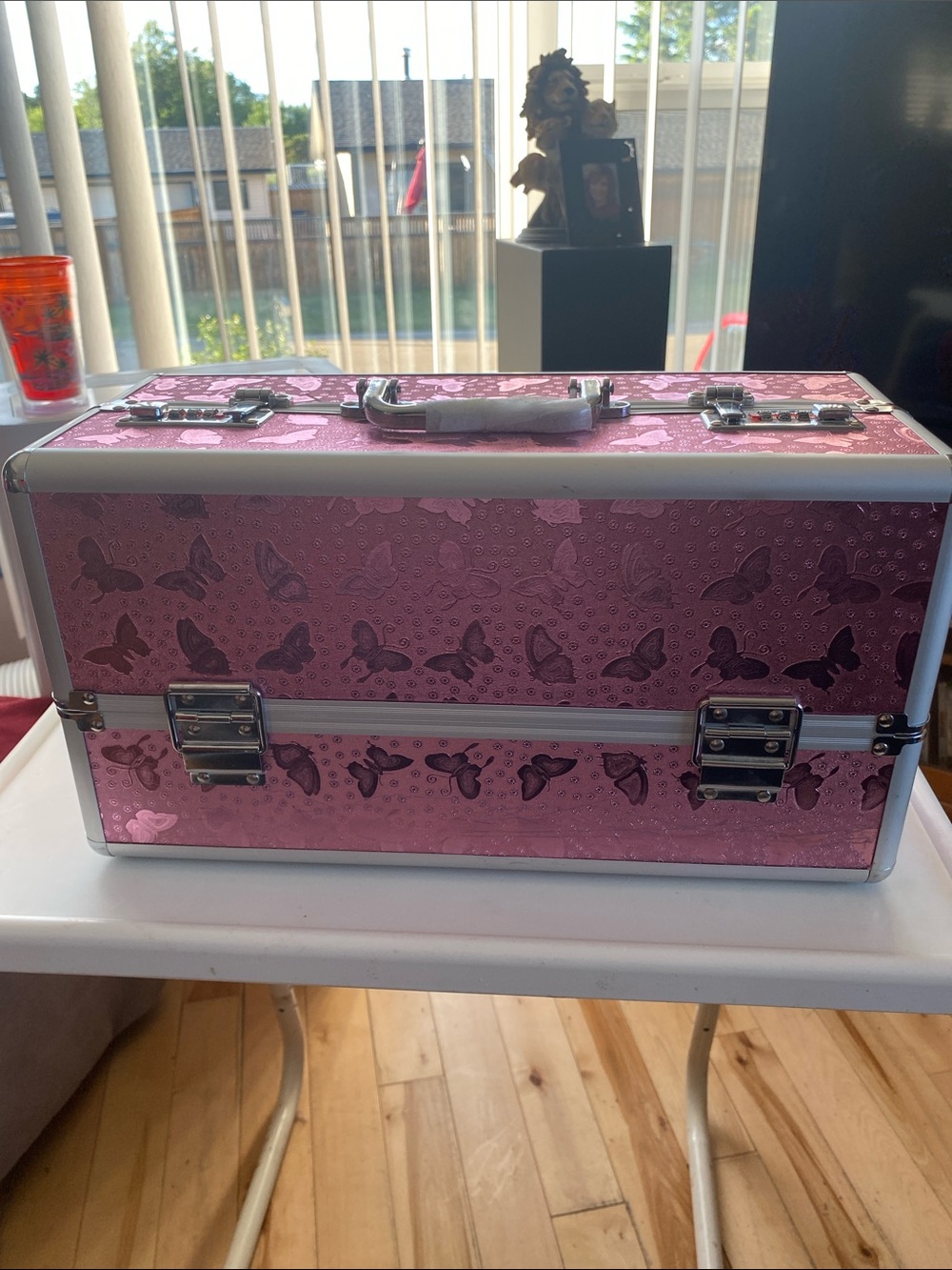 Pink Butterfly Train Case Makeup Box